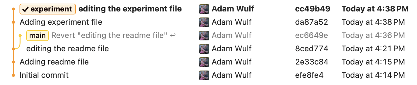 /files/2026/git-branch.png