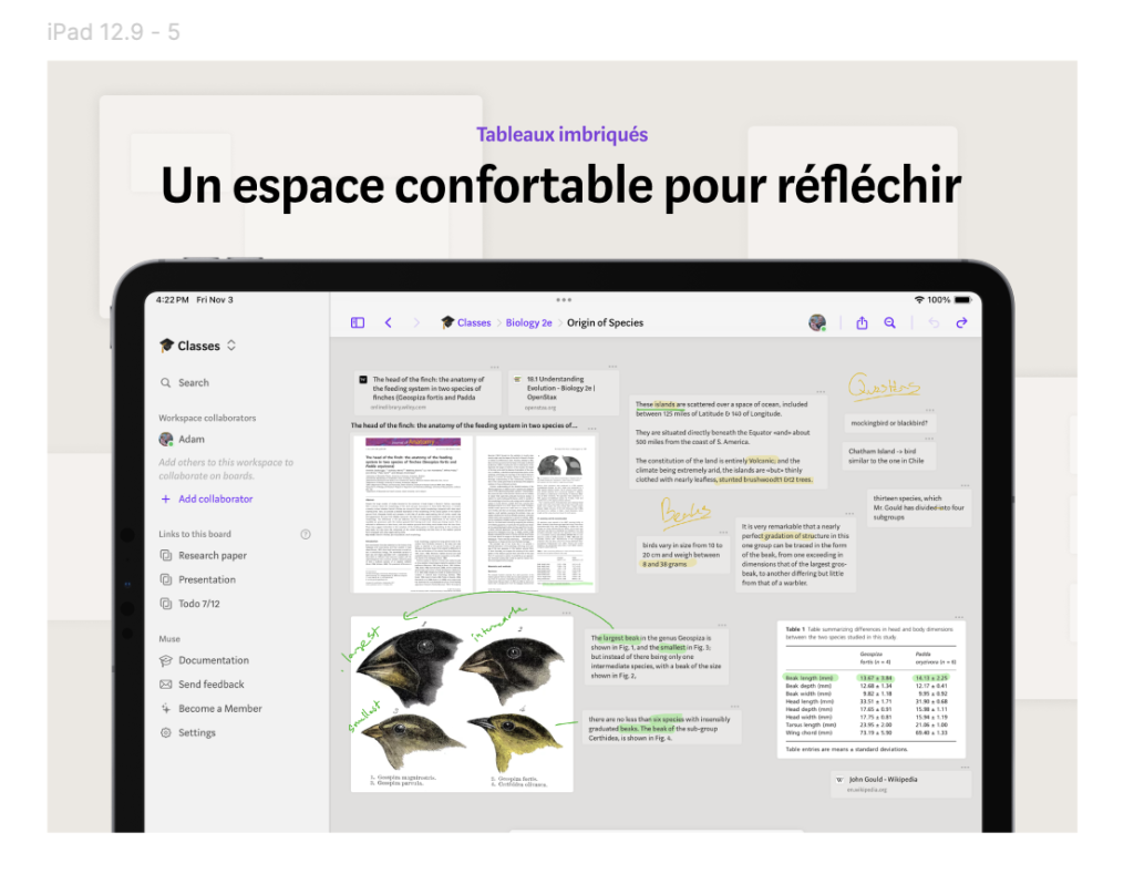 App Store screenshot of Muse, in French